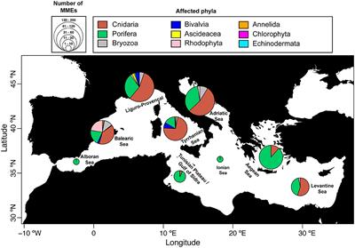 Collaborative Database to Track <mark class="highlighted">Mass Mortality</mark> Events in the Mediterranean Sea